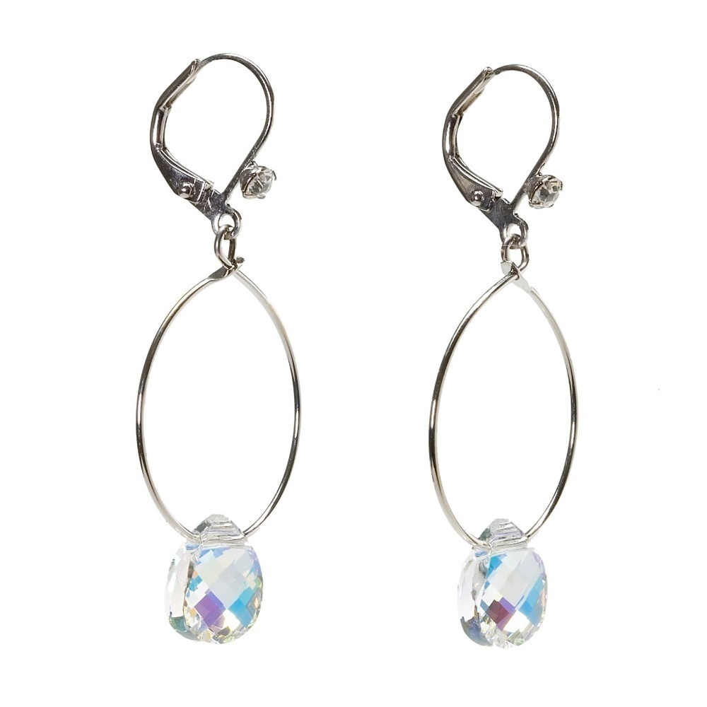 Stainless Steel AB Hoop Earrings with Swarovski Crystals